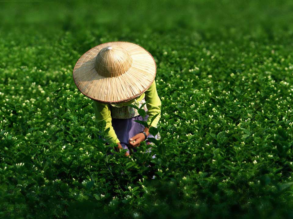 优势1